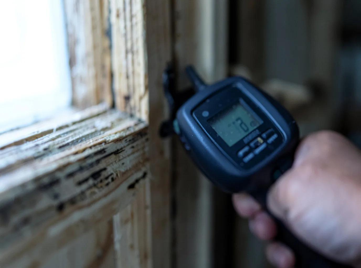 Water Damage Restoration Naturita, CO FAQs